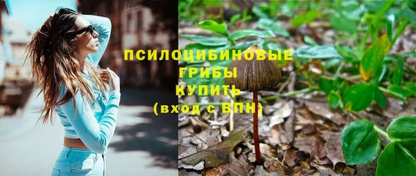 первитин Белоозёрский