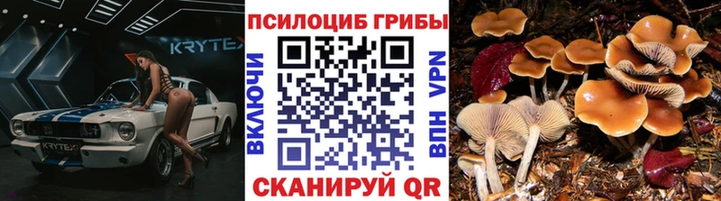 даркнет сайт  Циолковский  Псилоцибиновые грибы MAGIC MUSHROOMS 